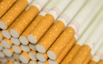 Félmillió doboz cigarettát csempésző férfi ellen indult eljárás